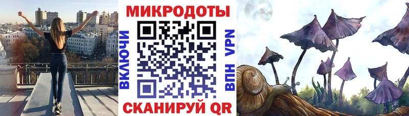 Псилоцибиновые грибы мицелий Кремёнки