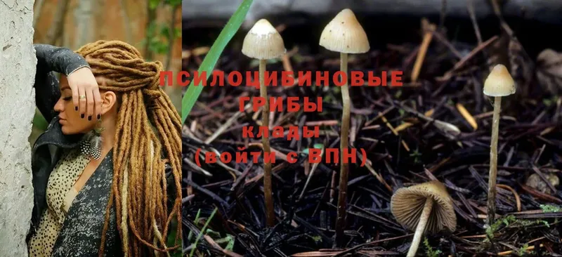 Псилоцибиновые грибы Magic Shrooms  MEGA ссылка  Кремёнки 